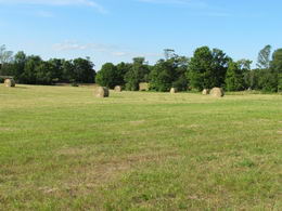 Multiple Hay Fields - Country homes for sale and luxury real estate including horse farms and property in the Caledon and King City areas near Toronto
